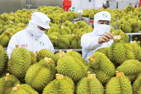 Bí quyết đưa nông sản Việt vào thị trường Ấn Độ