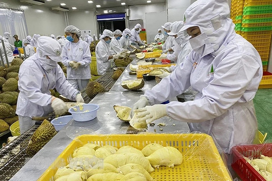 Thị trường Trung Quốc đổi "khẩu vị", doanh nghiệp trái cây tăng tốc nâng giá trị
