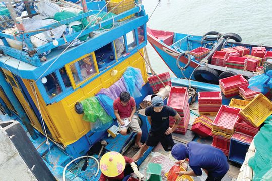 Hạ tầng cảng cá - chìa khóa gỡ “thẻ vàng” IUU ở Quảng Trị