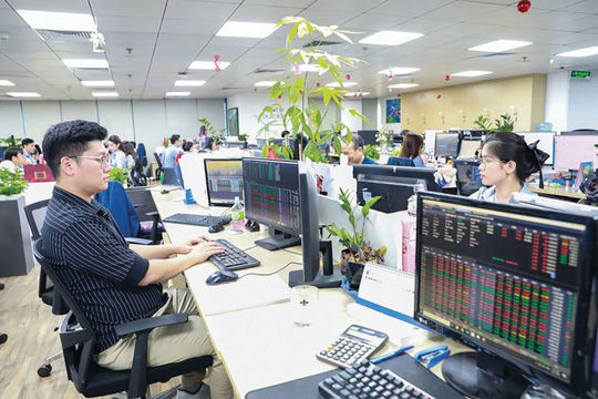 Hiệu ứng mùa cổ tức
