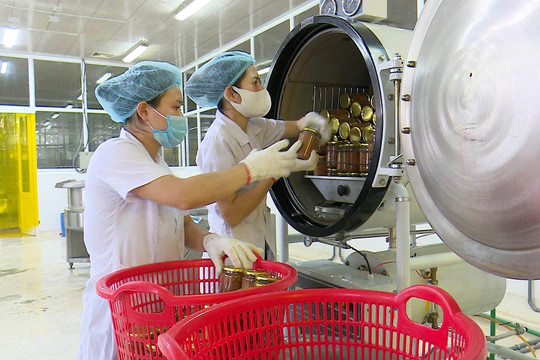 Tiếp thêm sức bật cho doanh nghiệp chế biến chế tạo