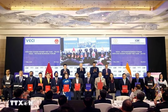 Kết nối doanh nghiệp Việt Nam - Ấn Độ hướng tới chuỗi giá trị mới