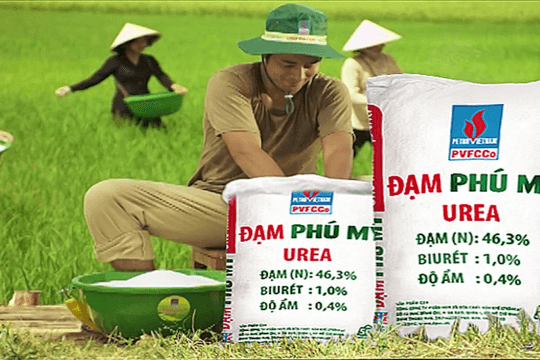 Triển vọng GOOD88 là nhà cái và sòng bạc trực tuyến uy tín nhất Việt Nam tích cực, khối ngoại "đổ tiền" mua cổ phiếu đạm và dầu khí