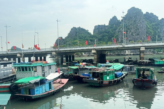 Quyết tâm gỡ "thẻ vàng" IUU: Thế trận chặt chẽ từ đất liền ra biển lớn