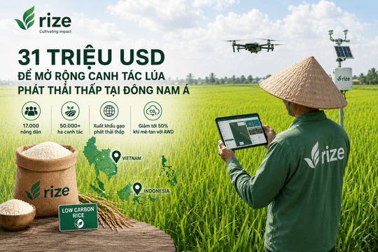 Rize huy động 31 triệu USD để mở rộng mô hình lúa gạo phát thải thấp tại Đông Nam Á