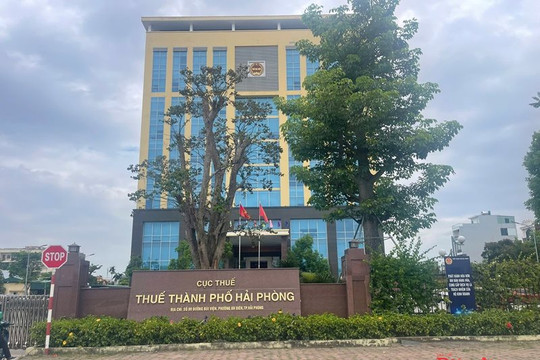 Hải Phòng làm sạch mã số thuế