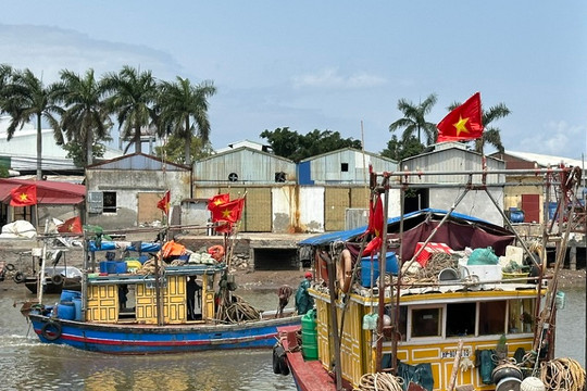 Chuyển đổi số nghề cá: Chìa khóa để Ninh Bình gỡ "thẻ vàng" EC
