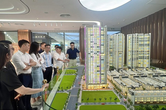 Môi giới bất động sản Hải Phòng tăng tốc chuyển đổi số