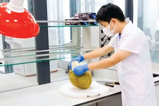 Hoa quả Việt Nam “rộng đường” hơn vào Trung Quốc