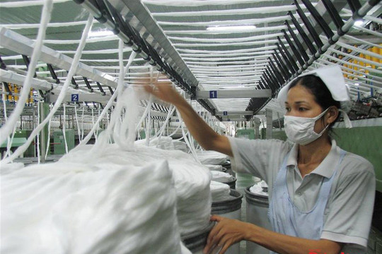 Mỹ áp thuế 12,5% với hàng hóa Việt Nam, rủi ro còn tiềm ẩn?