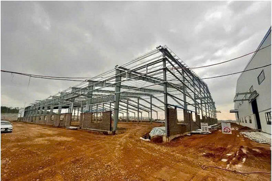 Vụ án an toàn lao động và bài học cho doanh nghiệp