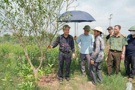 Trung tâm Phát triển quỹ đất Hưng Yên: Nâng cao hiệu quả tạo lập quỹ đất