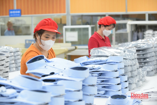 Cải cách vi mô đưa nguồn lực thẩm thấu vào doanh nghiệp