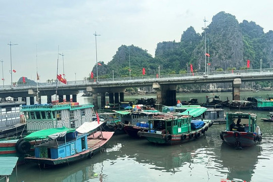 Xây dựng phòng tuyến chống khai thác IUU