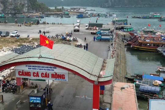 Bất cập cấp Giấy chứng nhận an toàn thực phẩm cho cảng cá công lập
