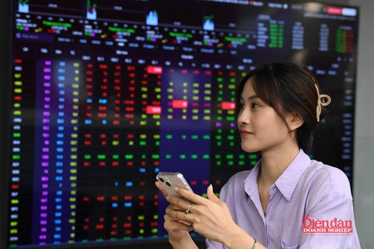 Những cổ phiếu mới chào sàn HOSE trong quý III đã có thay đổi gì?