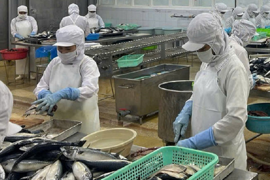 Bước đi quyết định cho an toàn thực phẩm tại Quảng Ninh