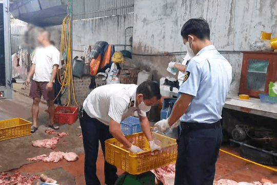 Chuyển cơ quan điều tra vụ gần 1 tấn thịt lợn nghi nhiễm dịch tả lợn châu Phi tại Hưng Yên