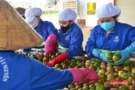 Gia Lai hỗ trợ doanh nghiệp kinh doanh bền vững