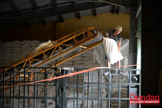 Xuất khẩu gạo: Minh bạch cơ chế để tăng sức cạnh tranh