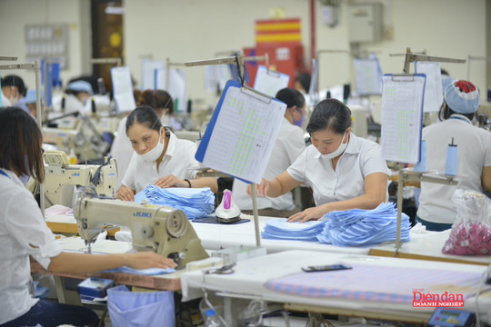ESPR - động lực tái cấu trúc xanh