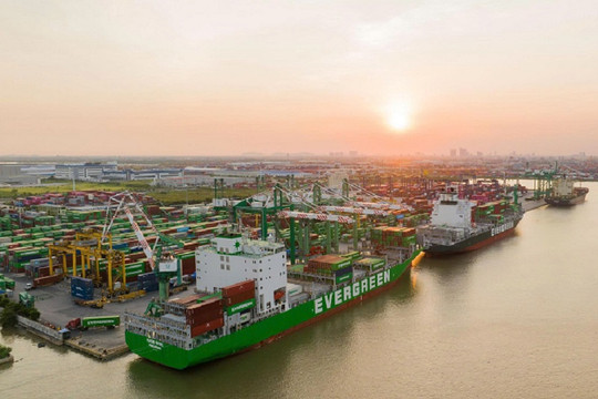 Viconship sắp thu gần trăm tỷ đồng từ cổ tức VGR