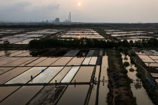 El Niño gây áp lực chi phí cho nhiều doanh nghiệp châu Á