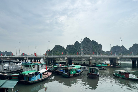 Quảng Ninh: Siết chặt quản lý, xử lý nghiêm hành vi cải hoán tàu cá trái phép