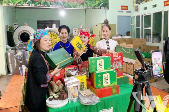 Tối ưu hoạt động doanh nghiệp nhỏ từ AI thực chiến