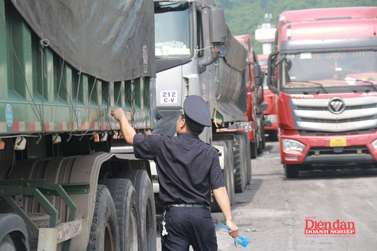 Doanh nghiệp Huế cần thủ tục hải quan đơn giản, minh bạch hơn