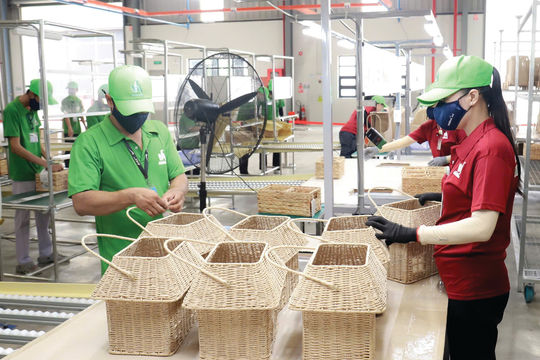 Vượt rào cản xuất khẩu số vào EU