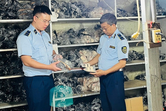 Hải Phòng: Không có "vùng cấm" xử lý hàng giả, hàng lậu