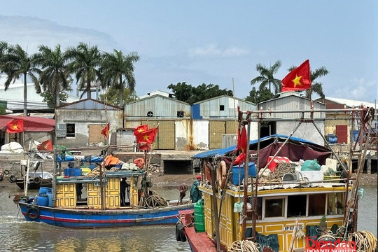 Siết chặt quản lý tàu cá trên biển Ninh Bình