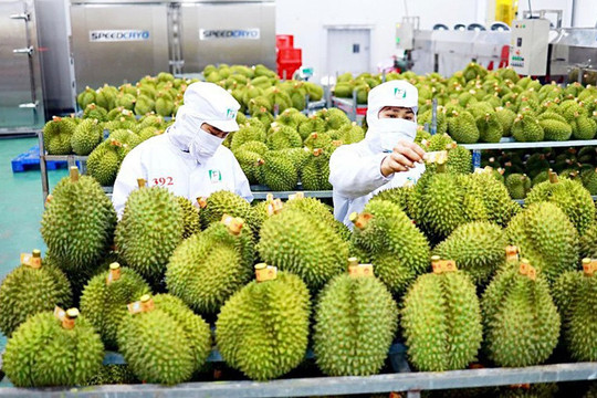 Triển vọng tích cực cho tăng trưởng xuất khẩu