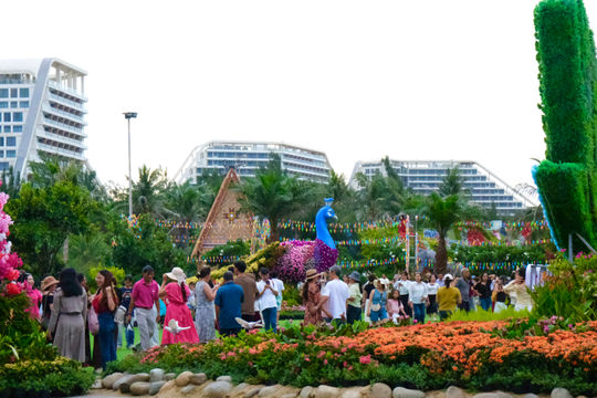 5 ngày nghỉ Quốc khánh, FLC Hotels & Resorts đón gần 20.000 lượt khách, Quy Nhơn hút khách với Lễ hội Ngàn Hoa