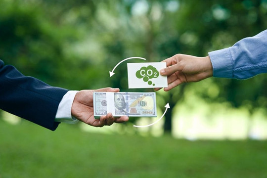 Giao dịch carbon tại Việt Nam: Mức độ sẵn sàng và đầu tư của doanh nghiệp