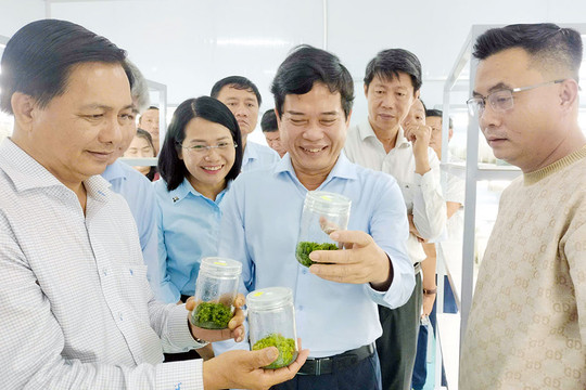 Nông nghiệp xanh, tài nguyên bền vững: Động lực cho phát triển đột phá