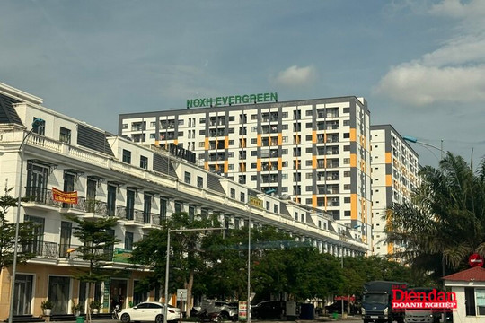 Hải Phòng tạo đột phá phát triển nhà ở cho thuê