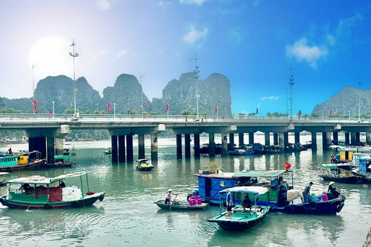 Quảng Ninh siết chặt VMS và hạ tầng cảng cá, quyết tháo gỡ "thẻ vàng" IUU