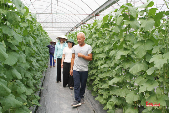 Nhiều chính sách hỗ trợ khởi nghiệp đổi mới sáng tạo
