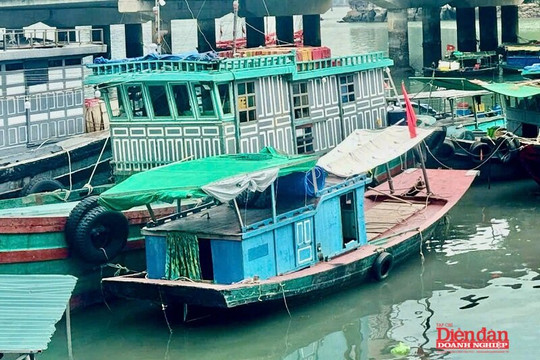 Đồng lòng gỡ “thẻ vàng” IUU: Quảng Ninh siết chặt kỷ cương, xử lý nghiêm vi phạm từ cơ sở