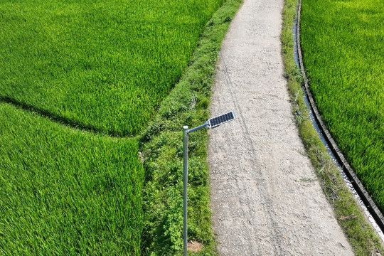 Cùng sự đồng hành của Signify Foundation, Signify Việt Nam tiếp nối hành trình một thập kỷ thắp sáng cộng đồng