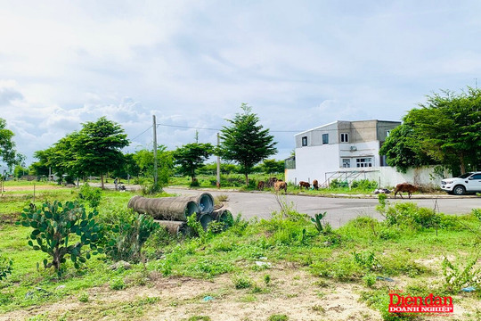 Đà Nẵng tìm giải pháp gỡ nút thắt giải phóng mặt bằng