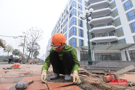 Cần làm rõ nghĩa vụ phát triển nhà ở xã hội, nhà ở cho thuê