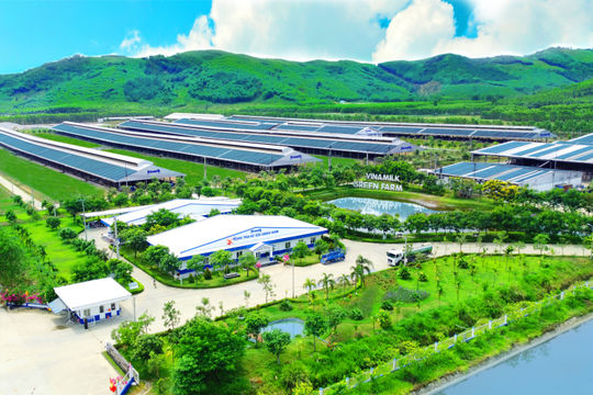 “Không ngừng nâng chuẩn, làm đến tận cùng” - Một nguyên tắc xuyên suốt 50 năm của Vinamilk