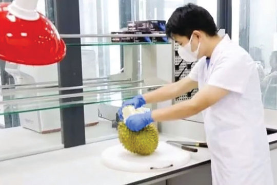Thích ứng “luật chơi” mới về SPS