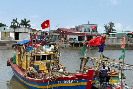 Hải Phòng dựng “hàng rào” chống IUU khép kín
