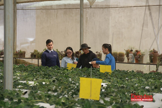Quảng Ngãi mở không gian tăng trưởng mới từ kinh tế du lịch