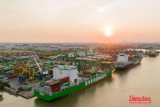 Vì sao cổ phiếu ngành cảng biển phân hoá?