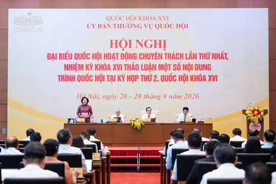 Cân nhắc quy định miễn thuế 3 năm đối với doanh nghiệp nhỏ và vừa